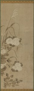 الأقحوان الأبيض والأعشاب ، فترة إيدو ، 1615-1868. بواسطة غير معروف