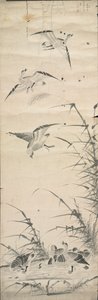 الاوز البري والقصب ، 1392-1910. بواسطة غير معروف