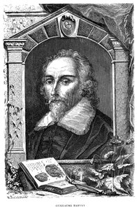 ويليام هارفي 1578-1657 طبيب إنجليزي ، القرن السابع عشر بواسطة غير معروف