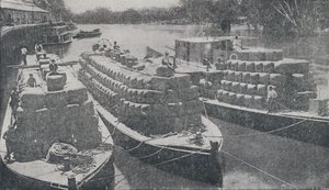 المراكب الصوفية على نهر موراي ، 1923. بواسطة غير معروف