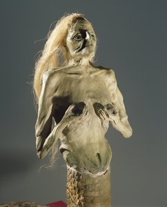 نصف امرأة ، مخلوق نصف ثعبان ، تفرخ ميلوسين ، 1900
