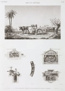 قوة الحيوان للري بالحيوان ، مصر عام 1798 بواسطة غير معروف