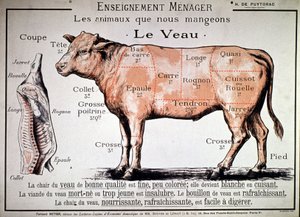 الحيوانات التي نأكلها: العجل، ج. 1910 (مطبوع) بواسطة فنان غير معروف