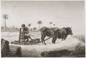 الزراعة الصالحة للزراعة ، آلة الحصاد ، مصر ، ج 1798 بواسطة غير معروف
