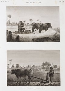الزراعة الصالحة للزراعة ، الحرث ، آلة الدرس والمحراث ، مصر ، ج 1798 بواسطة غير معروف
