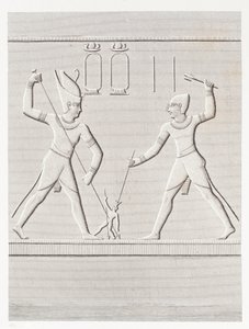 الكتاب: وصف مصر بواسطة غير معروف