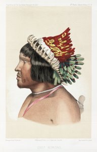 زعيم بورورو ، أمريكا الجنوبية ، 1843-1847 بواسطة غير معروف