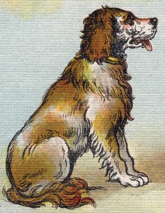 كلب. نقش في "Alphabet de ma petite fille". برناردين-بيشيت وفلس ، بائعون وناشرون ، باريس ، حوالي عام 1895. ألبوم غير قابل للكسر على قماش. Bibliotheque des Bebes. 12 صفحة. ألبوم يحتوي على طريقة قراءة ومختصر توضيحي. قاتمة: 29.5 بواسطة غير معروف