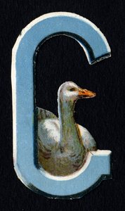 G مثل Goose. بيتل دكوبس حول موضوع الحيوانات. نقش. سلسلة من 26 صورة حجرية ملونة للوافل من أصل إنجليزي. المحرر والرسام غير معروف. نهاية القرن التاسع عشر. قاتمة: 5،5x3،5 سم بواسطة غير معروف