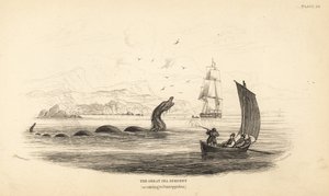 ثعبان البحر العظيم الذي أطلق عليه طاقم السفينة لورانس بالعبّارة عام 1746. موصوف في التاريخ الطبيعي للنرويج للأسقف إريك بونتوبيدان بواسطة فنان غير معروف