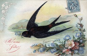 بطاقة ميلاد سعيد: ابتلاع يحمل زهرة - بطاقة بريدية مؤرخة عام 1906 بواسطة غير معروف