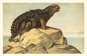 Hylaeosaurus Armatus ، منقرض ديناصور أنكيلوصوريان آكل للعشب ، 1908 (طباعة حجرية) بواسطة فنان غير معروف