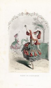 رسم توضيحي لتشارلز جيوفروي (1819-1882) لـ"زهرة الزنبق" - نقش بقلم شارلز جيوفروي (1819-1882)، استنادًا إلى رسم توضيحي لجون إيجناس إيزيدور جيرارد ديت جيه جيه جرانفيل (1803-1847)، لكتاب "زهرة الأنمي بواسطة فنان غير معروف
