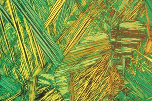 Micrographs (Light) Aluminium bronze, light micrograph بواسطة غير معروف