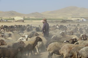 خيام بدوية بين تمار وأشخانه ، إيران 2022 (تصوير) بواسطة فنان غير معروف