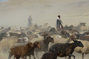 خيام بدوية بين تمار وأشخانه ، إيران 2022 (تصوير) بواسطة فنان غير معروف