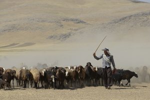 خيام بدوية بين تمار وأشخانه ، إيران 2022 (تصوير) بواسطة فنان غير معروف