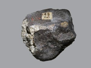 كوندريت عادي (L6). Tombee at L'Aigle (باس نورماندي ، فرنسا) في أبريل 1803. المتحف الوطني للتاريخ الطبيعي ، باريس. بواسطة غير معروف