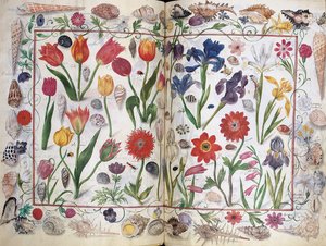 صفحات من ألبوم أميكوروم فيليب هاينهوفر ، 1596-1633 بواسطة غير معروف