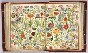 صفحات من ألبوم أميكوروم فيليب هاينهوفر ، 1596-1633 بواسطة غير معروف