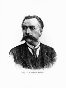 Portrait of Andrea Angiulli (1837-1890), Italian philosopher and pedagogue, engraving بواسطة جي بي وبراون جيه وروبوتام