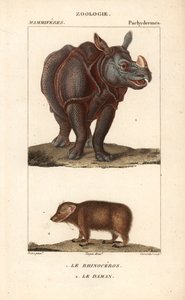 وحيد القرن والدامان أو كلايد - أو فورت بقلم جان غابرييل بريتري (1780-1845)، نقش بواسطة كارنونكل، لقاموس العلوم الطبيعية: الثدييات لفريدريك كوفييه، حرره بيير جان فرانسوا توربان (1775-1840)، ونشره ف. ج. ليفراو، في باريس بواسطة فنان غير معروف