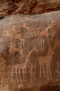 الفن الصخري ، عصور ما قبل التاريخ: نقش الزرافات والنعام والأغنام والكلب والشخصية في جبل العوينات ، السودان (كركور الطلح أو كركور الطلح). الفترة من 8000 إلى 3000 سنة قبل الميلاد. التصوير بواسطة غير معروف
