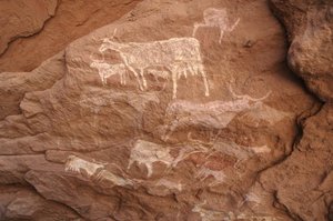 الفن الصخري ، عصور ما قبل التاريخ: رسم على الصخور لمجموعة من الماشية في مأوى مزخرف ، في سلسلة العوينات ، السودان (كركور الطلح أو كركور الطلح). الفترة من 8000 إلى 3000 سنة قبل الميلاد. التصوير بواسطة غير معروف