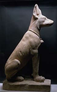 تمثال لكلب ، بلاد ما بين النهرين ، حوالي 5000-1000 قبل الميلاد (الحجر الجيري) بواسطة غير معروف