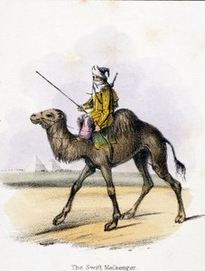 The Swift Messenger 
