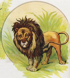 الأسد. نقش في "ABC L'alphabet des bebes". حجم غير قابل للكسر على القماش في الطباعة الحجرية الملونة. A. Capendu ، محرر ، باريس. أوائل القرن العشرين ، حوالي عام 1905. صور من أصل إنجليزي ، مصحوبة بكلمات بالفرنسية تقابل كل حرف أولي بواسطة غير معروف