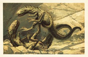 اثنين من قتال Dryptosaurus aquilunguis.1908 (طباعة حجرية) بواسطة فنان غير معروف