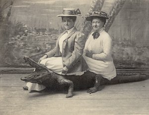 امرأة جالسة على تمساح محشي ، حوالي 1905 (صورة بالأبيض والأسود) بواسطة فنان غير معروف