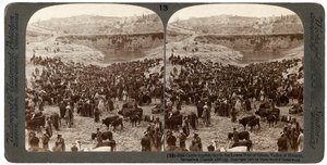 يوم سوق الماشية ، في البركة السفلية لجيهون ، وادي هنوم ، القدس ، فلسطين ، 1900. بواسطة أندروود أند أندروود