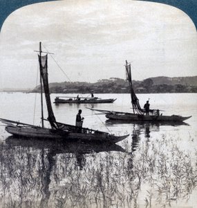 قوارب الصيد تعود إلى المنزل عند غروب الشمس ، بالقرب من يوكوهاما ، اليابان ، 1904. بواسطة أندروود أند أندروود