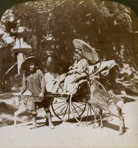 فتاة تتغذى على الغزلان المقدسة في طريقها للصلاة ، أرض معبد كاسوغا ، نارا ، اليابان ، 1904 بواسطة أندروود أند أندروود