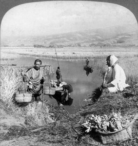 رجال يتجمعون في الاندفاع بالقرب من سوزوكاوا ، فوجياما ، اليابان ، 1904. بواسطة أندروود أند أندروود