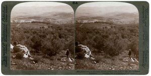 سهل دوثان ، فلسطين ، 1900. بواسطة أندروود أند أندروود