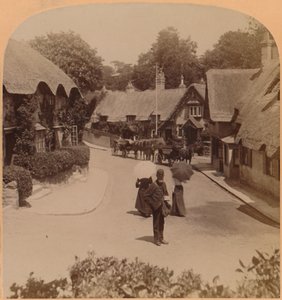 منازل شانكلين الجذابة ، Isle fo Wight ، إنجلترا ، 1900. بواسطة أندروود أند أندروود