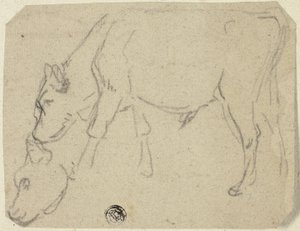 رسومات تخطيطية لثور يرعى ورأس بقرة (الوجه)؛ بقرة جالسة في صورة جانبية (الظهر) بواسطة غير معروف