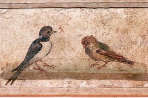 Swallow and Sparrow ، لوحة جدارية رومانية من Boscoreale بالقرب من بومبي ، القرن الأول بواسطة غير معروف