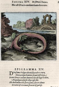 ضرب تنين ذيله (أو Ouroburo (؟)). لوحة مأخوذة من رحلة Alchemy "، رحلة Palermo التي ترمز كيميائيًا لأسرار الطبيعة الجديدة" ، بقلم ميشيل ماير (1568-1622) بواسطة فنان غير معروف