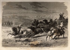 تجمع العديد من البادود ، وهو روديو في Lauramarca (بيرو السفلى) ، أسر الخيول البرية ، قبل وضع العلامات الحديدية بالأحرف الأولى لمالك المنطقة ، على أنها مشهد كامل. نقش لتوضيح الرحلة في وديان كوينكوين بواسطة فنان غير معروف
