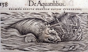 يدمر الحوت بدن القارب ويسبب غرقه. نقش التاريخ الحيواني للكونراد جيسنر (1516-1565) ، تيغوري بواسطة فنان غير معروف