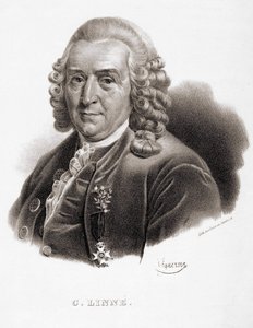 كارل فون ليني عالم الطبيعة والكاتب السويدي (1707 - 1778). بواسطة فنان غير معروف