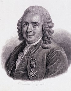 كارل فون ليني عالم الطبيعة والكاتب السويدي (1707 - 1778) - في "صورة الرجال النافعين" " بواسطة فنان غير معروف