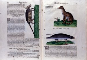 صفحة مزدوجة من تاريخ الحيوانات بقلم كونراد جيسنر (1516-1565) ، زيورخ بواسطة فنان غير معروف