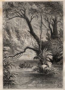 رحلة استكشافية إلى أمريكا (1799-1804) بقلم ألكسندر فون هومبولت (1769-1859) وأيمي بونبلاند (1773-1858): ينزل المستكشفون إلى نهر أورينوك ، وتحيط بهم الأشجار العملاقة في غابات الأمازون (كانو بيميشين ، فنزويلا) - تم التقاط الرسم التوضيحي من "العظيم بواسطة فنان غير معروف