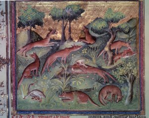 دواجن صيد الثعلب. صورة مصغرة من مخطوطة "Le livre de la chasse" (الورقة 34v) بقلم غاستون فويبوس (1331-1391) المعروفة باسم Gaston III Comte De Foix بواسطة فنان غير معروف