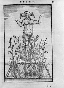 Homme sans bras - في "" De Transmutatione Metallica Sogni Tre "، بقلم جيوفاني باتيستا نازاري ، تم تحريره في بريشيا عام 1599 بواسطة فنان غير معروف